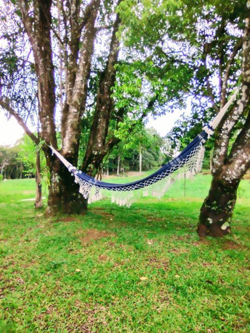 Lodge Ninho águias *